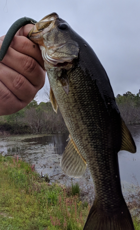 A photo of Matt Sides's catch