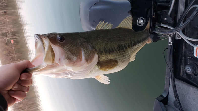 A photo of matt huffman's catch