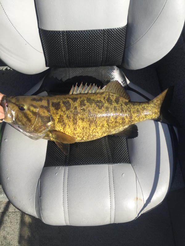 A photo of Jim Smith's catch