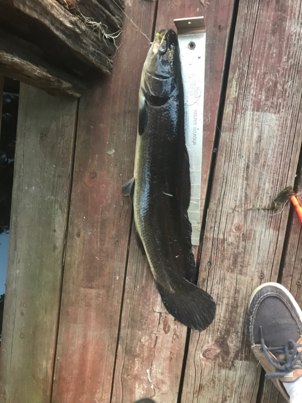A photo of Karol Lento's catch