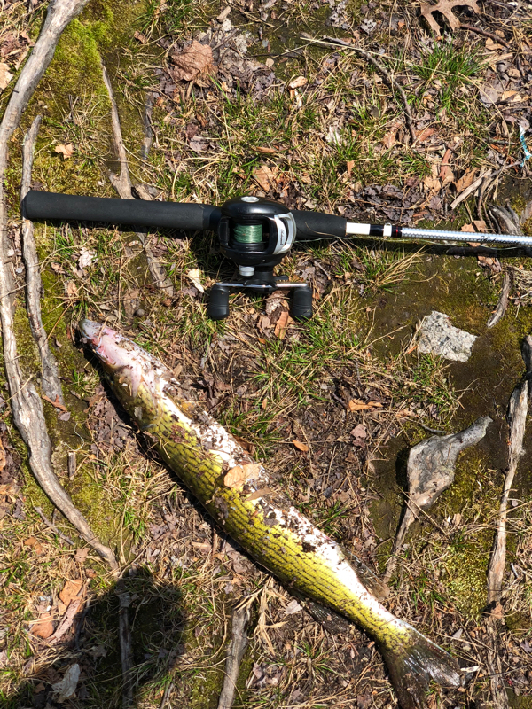 A photo of Rob Kay's catch