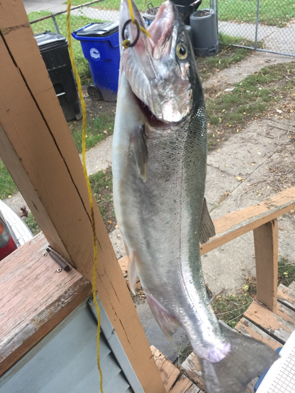 A photo of Joshua  Wagner 's catch