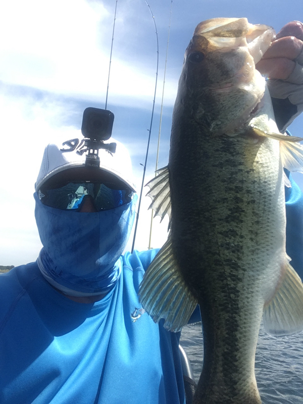 A photo of Bird_dog's catch
