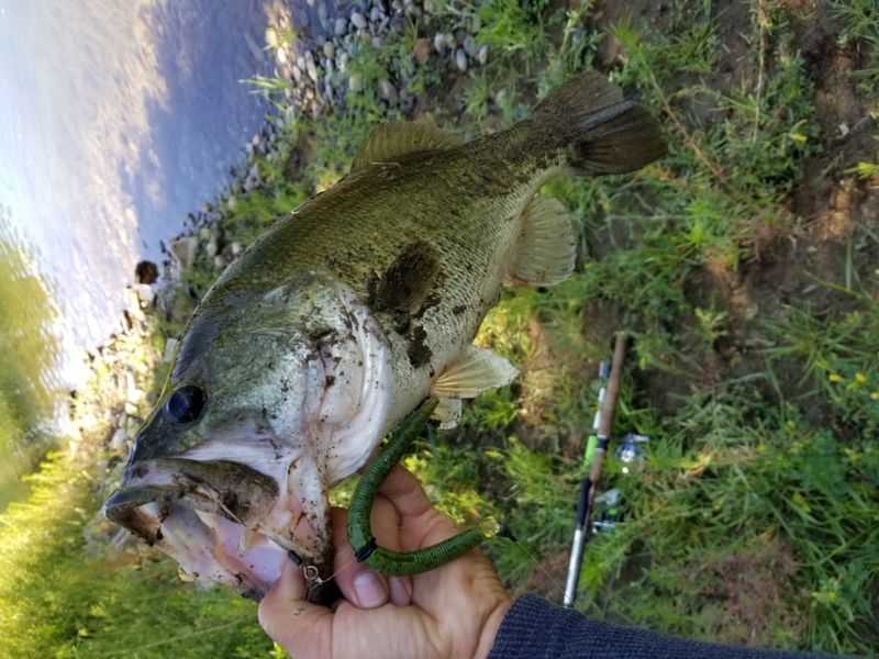 A photo of antonio garcia's catch