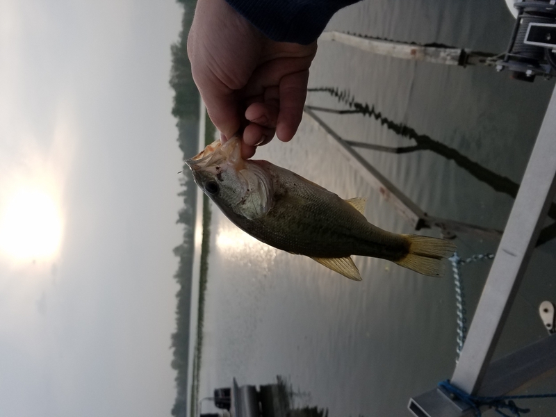 A photo of Spencer Ploutz's catch