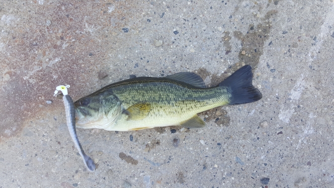 A photo of Kate Casey's catch