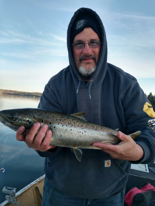 A photo of David Denis's catch