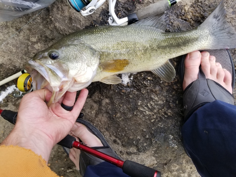 A photo of Fish Burgh's catch