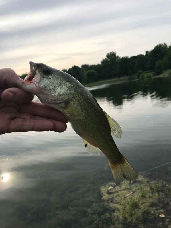 A photo of William  Hunt 's catch