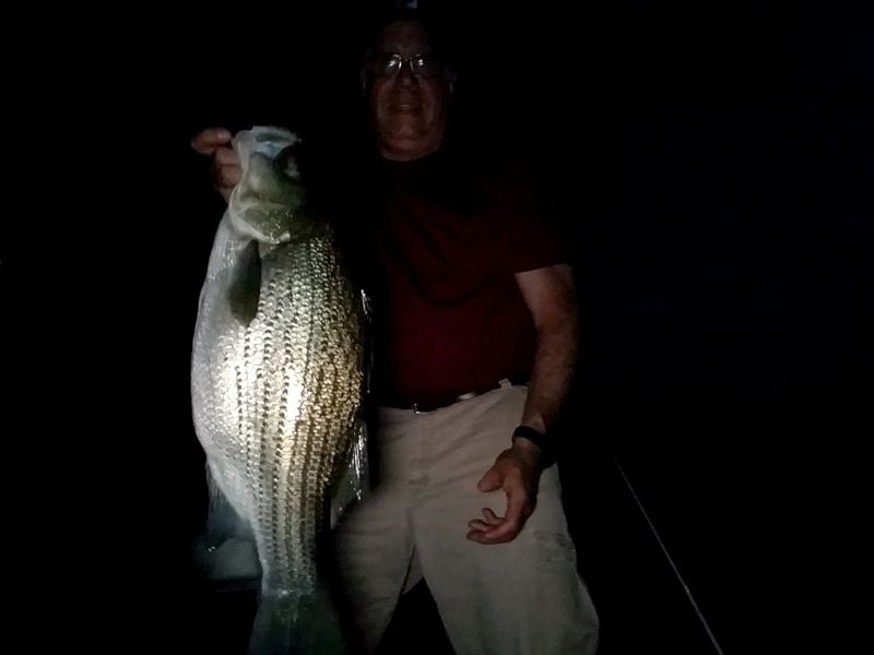 Caught a Hybrid Striped Bass on Lake Arthur using a crankbait
