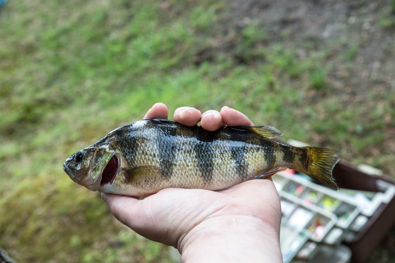 A photo of Scottie Tuska's catch