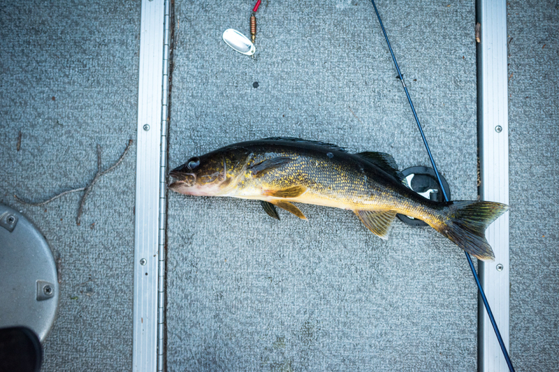 A photo of Scottie Tuska's catch