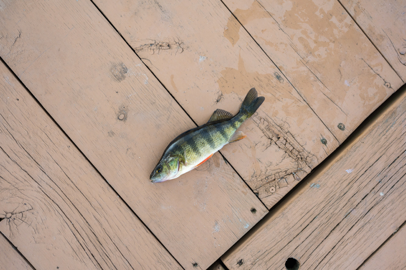A photo of Scottie Tuska's catch