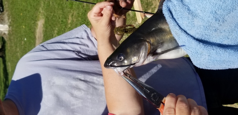 A photo of Creek  Geek's catch