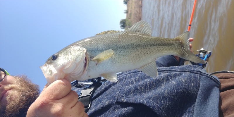 A photo of Jeanie G's catch