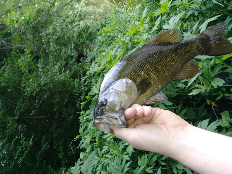 A photo of Eric Clark's catch