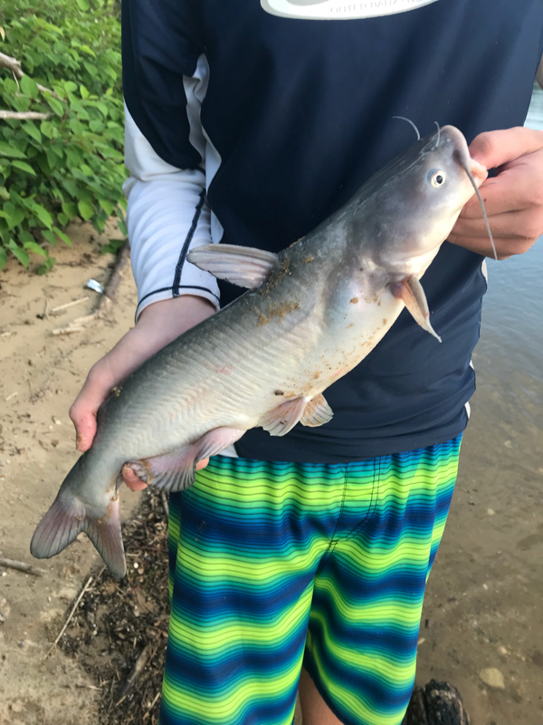 Caught a Blue Catfish on Lower Potomac River