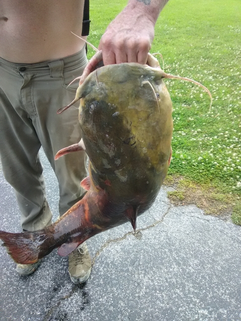 A photo of Johnn wayne's catch