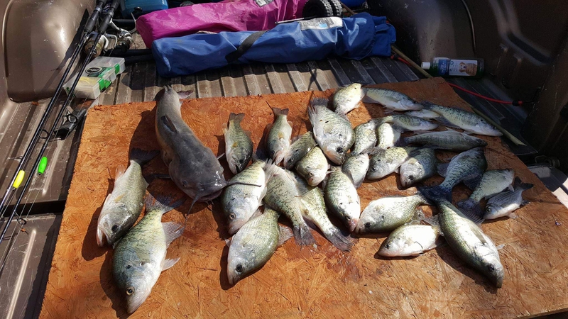 A photo of lanny combs's catch