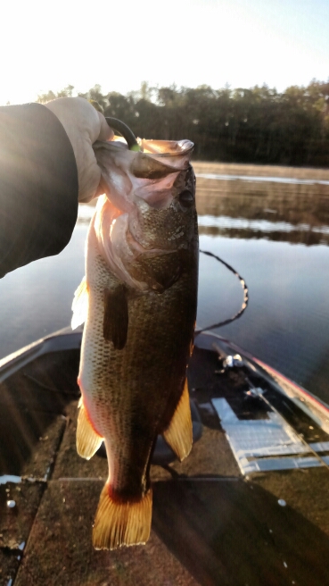A photo of Marc Gregoire's catch