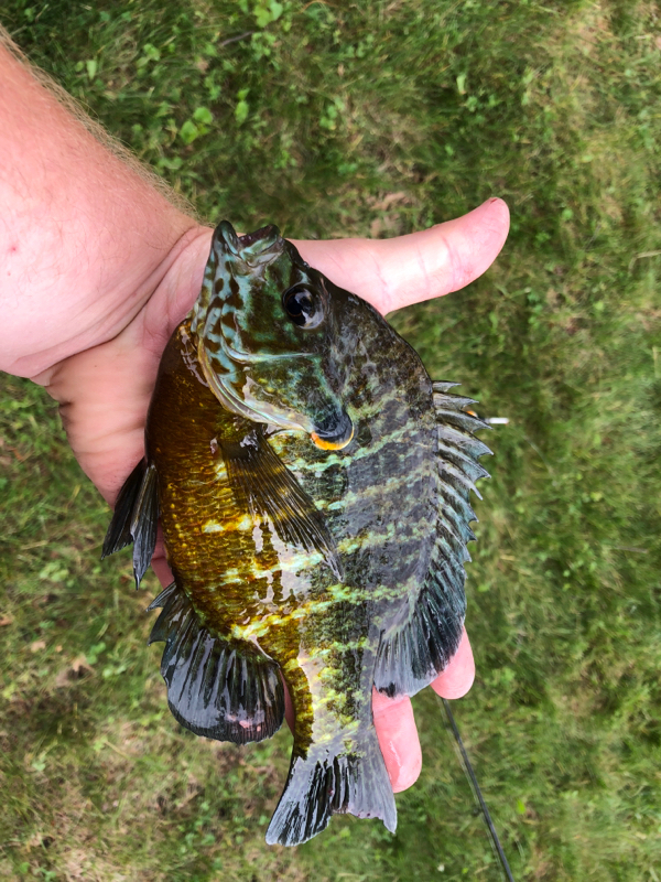 A photo of Aaron Christensen's catch