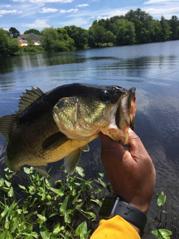 A photo of Tiger Warren's catch