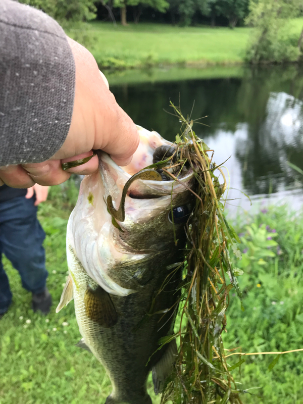A photo of Jimmy  Miletta 's catch
