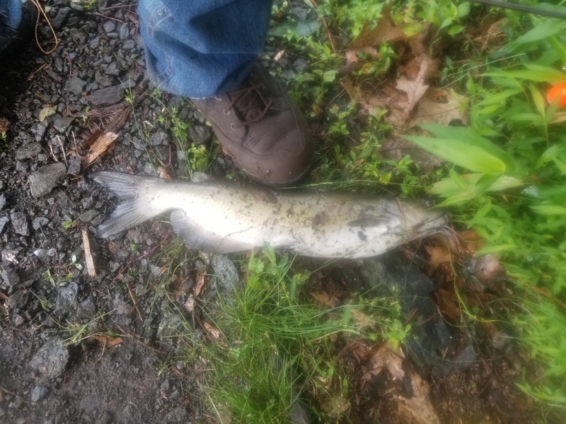 A photo of Craig Conrad's catch