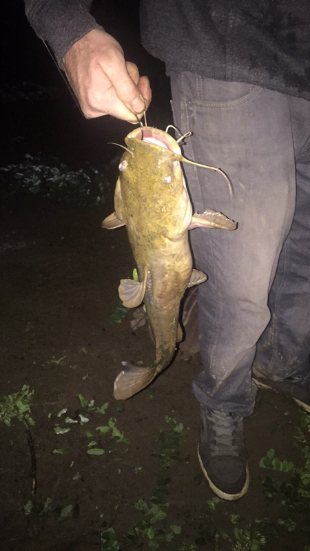 A photo of Cheyenne Smith's catch
