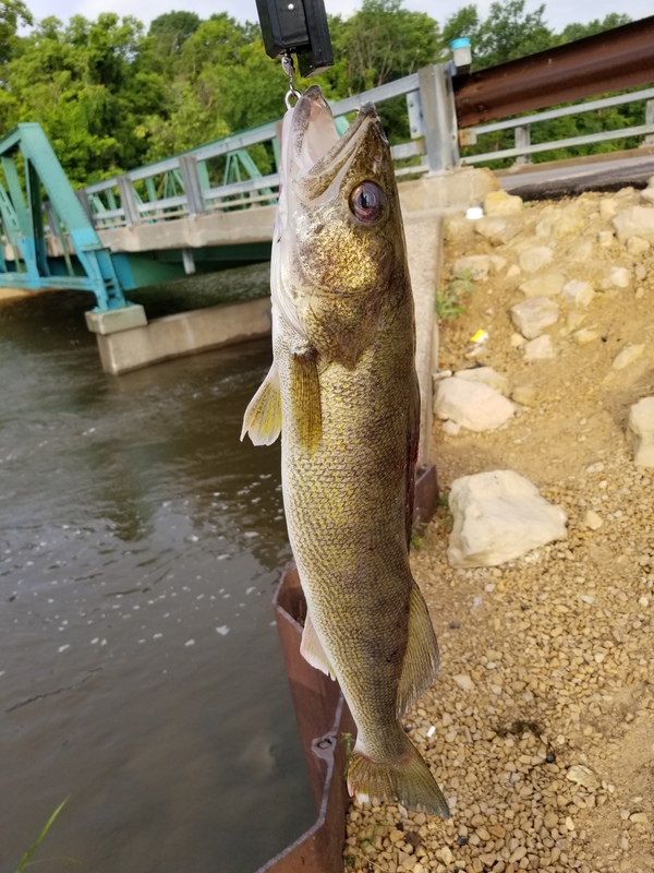 Pool 2 Mississippi River Map Mississippi River Pool 2 Mn Fishing Reports, Map & Hot Spots