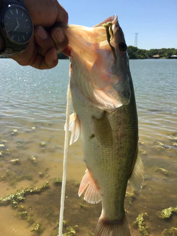 A photo of Ricrado Richie's catch
