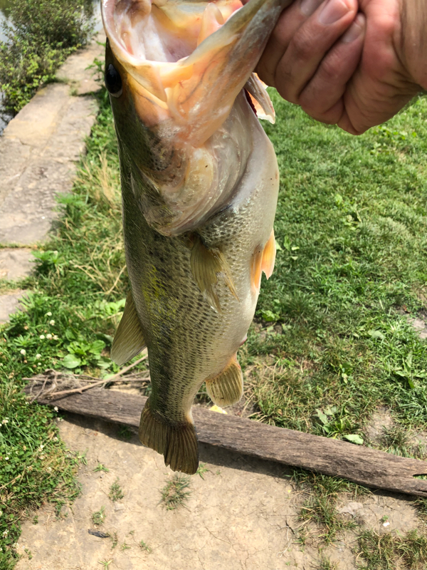 A photo of Rob Copenhaver's catch