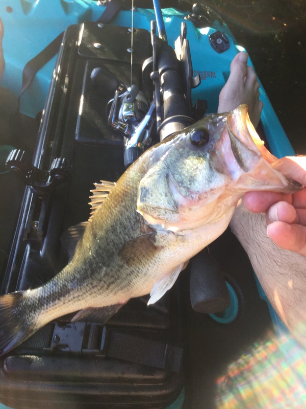 A photo of scott miller's catch