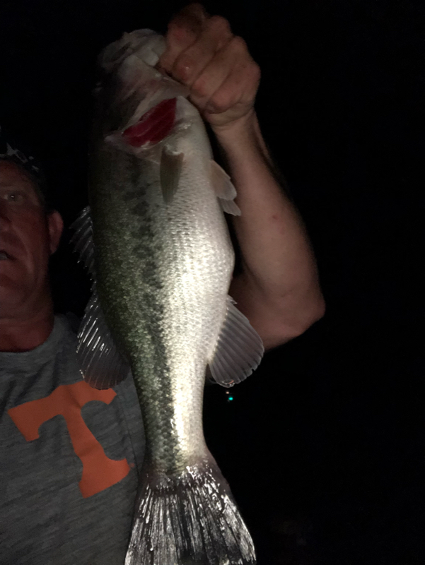 A photo of Cody O'Regan's catch