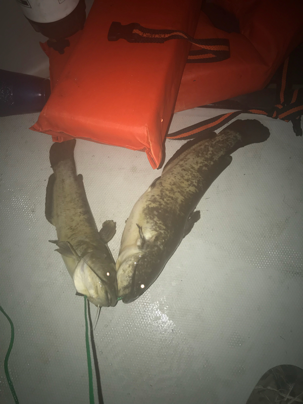 A photo of Mike Bub's catch