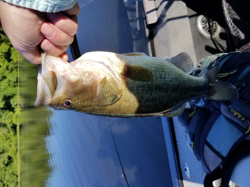 A photo of David Walsh's catch
