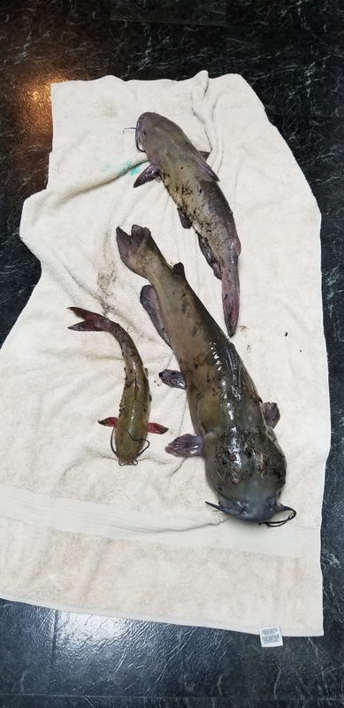 A photo of Sabrina Davis's catch