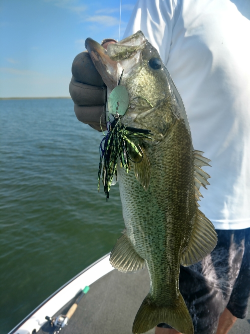 A photo of Gil Jarvis's catch