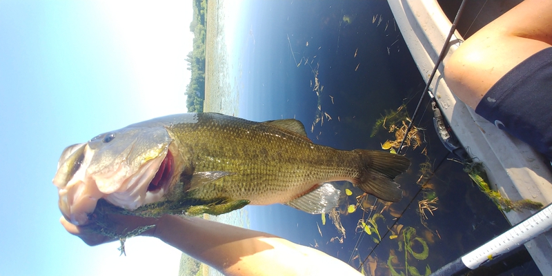 A photo of Tonya  Bethune 's catch
