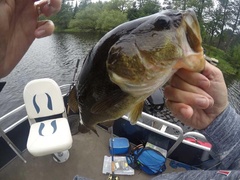A photo of Cory Dobson's catch