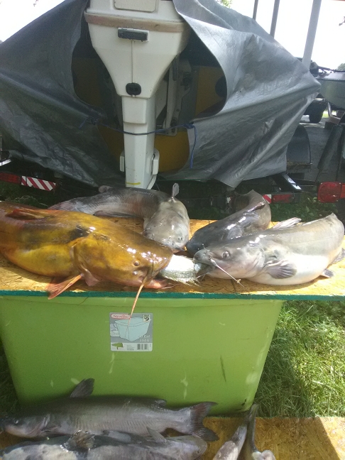 A photo of Johnn wayne's catch
