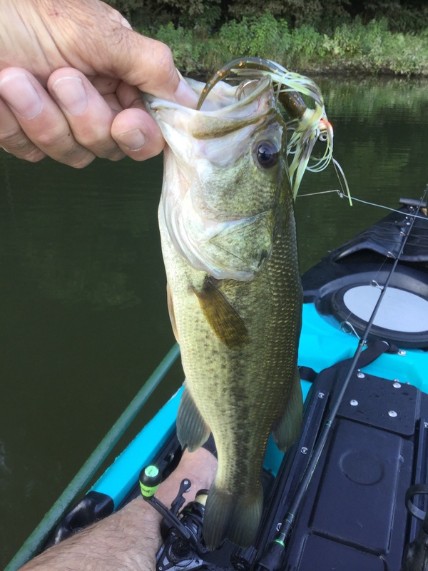 A photo of scott miller's catch