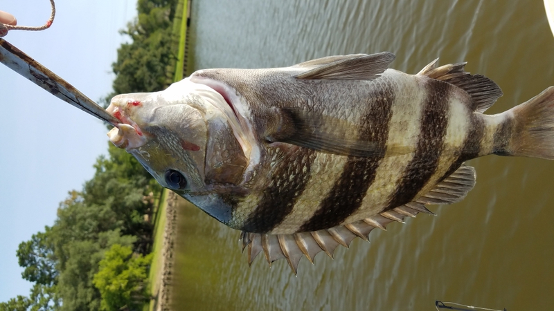 A photo of Chip Reeder's catch