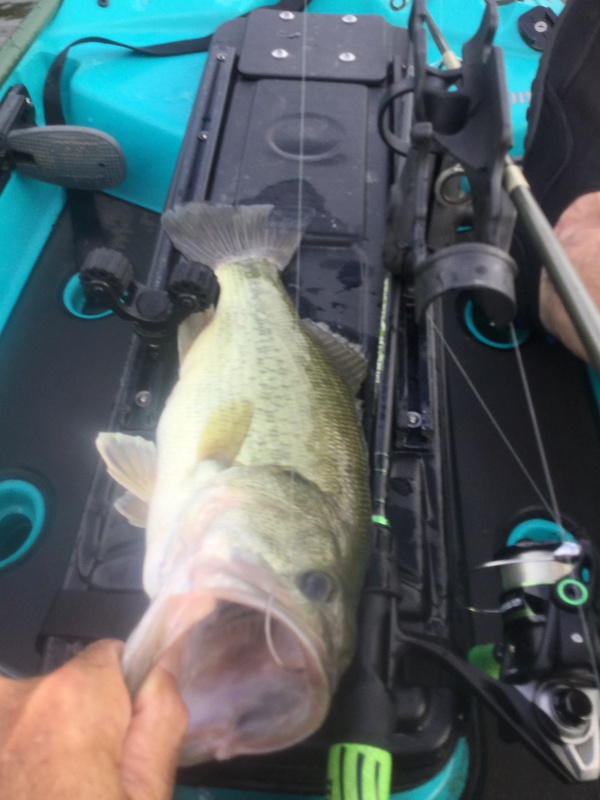 A photo of scott miller's catch