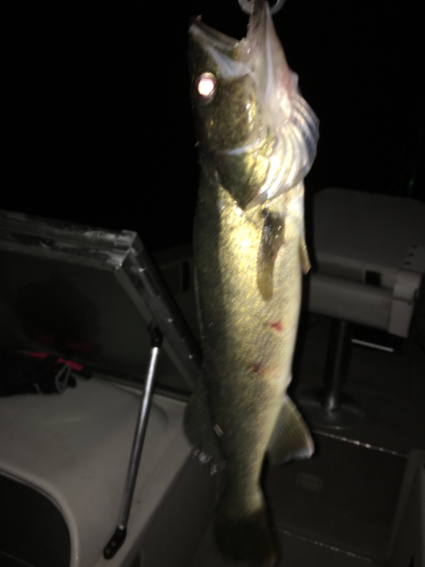 A photo of TeeJ's catch