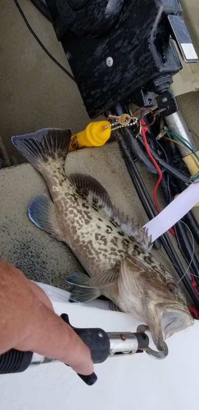 A photo of Stephen Kleiber's catch