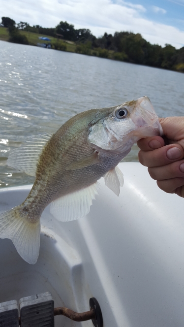 A photo of corey taylor's catch