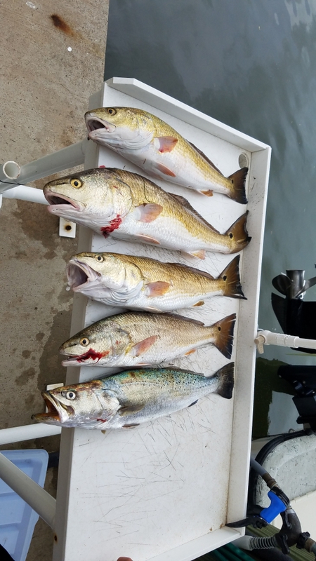 A photo of Chip Reeder's catch