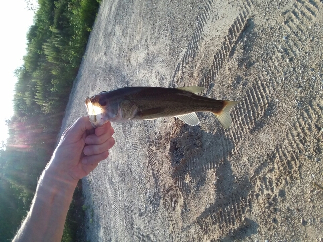 A photo of aaaron llenzendorf's catch