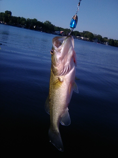 A photo of Michael Ash II's catch